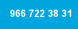 966 722 38 31
